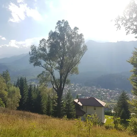 Hay Huy Lodge Busteni